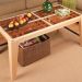 Woodsmith Glass-Panel Coffee Table Standard Plan – 8.5” x 11” Print (Shipped to You)