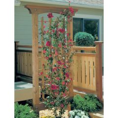Woodsmith Rose-Covered Trellis Plan